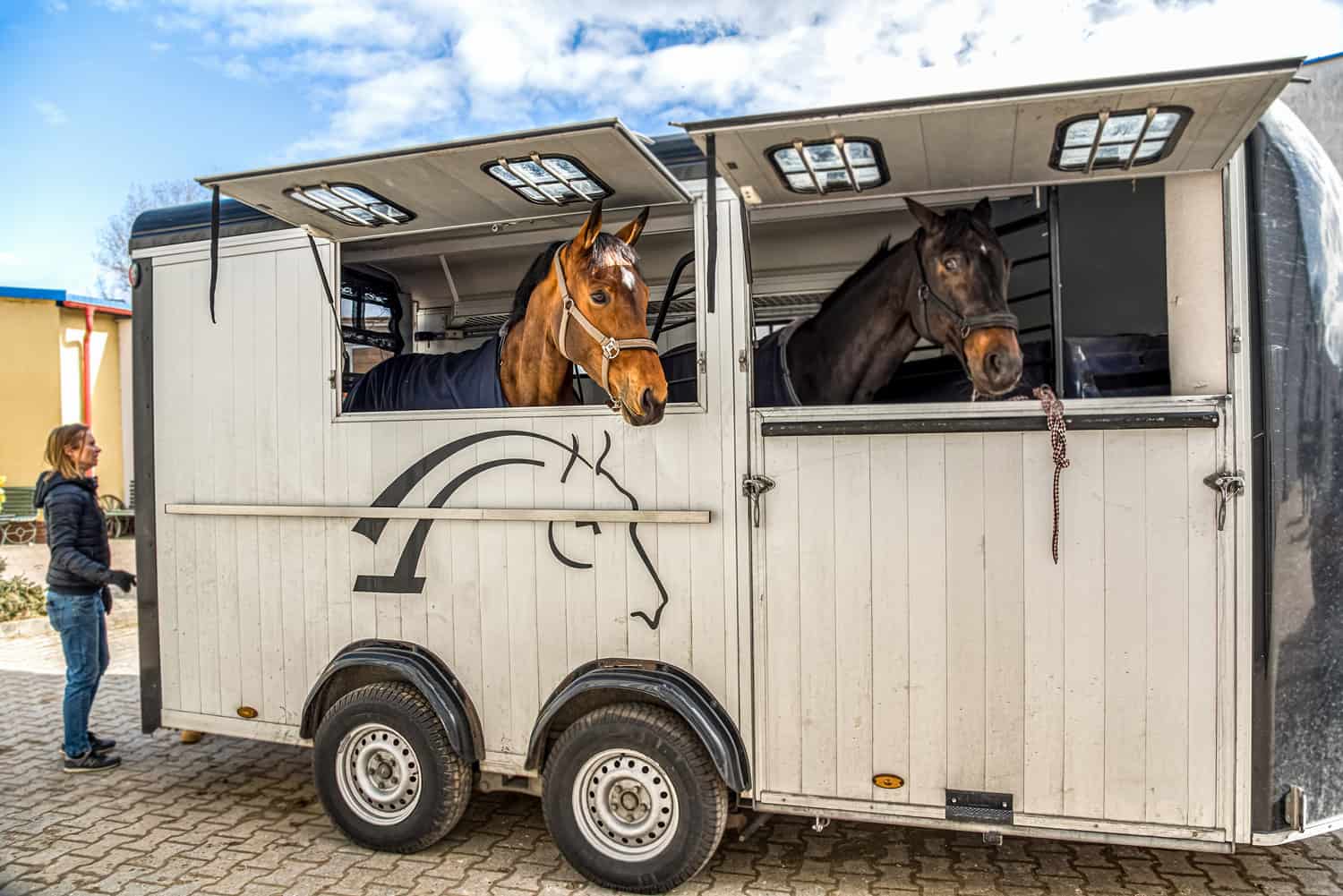 Horse Transportation Insurance