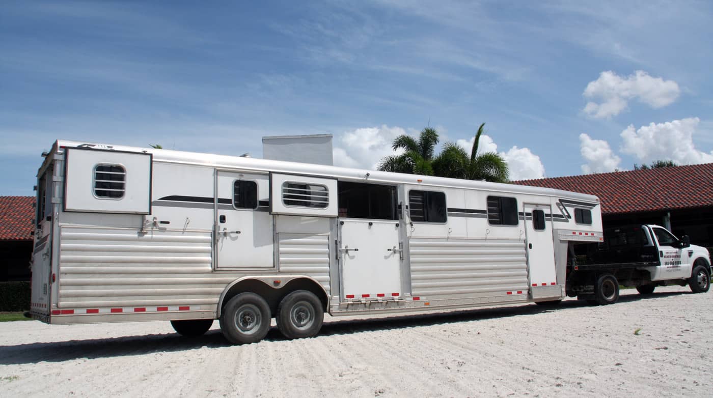 horse haulers insurance requirements