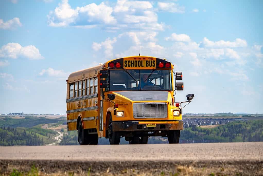 school bus insurance